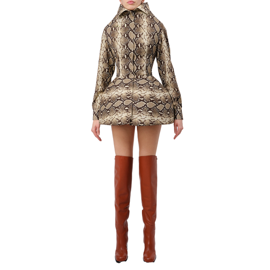Chemisier Mini Dress