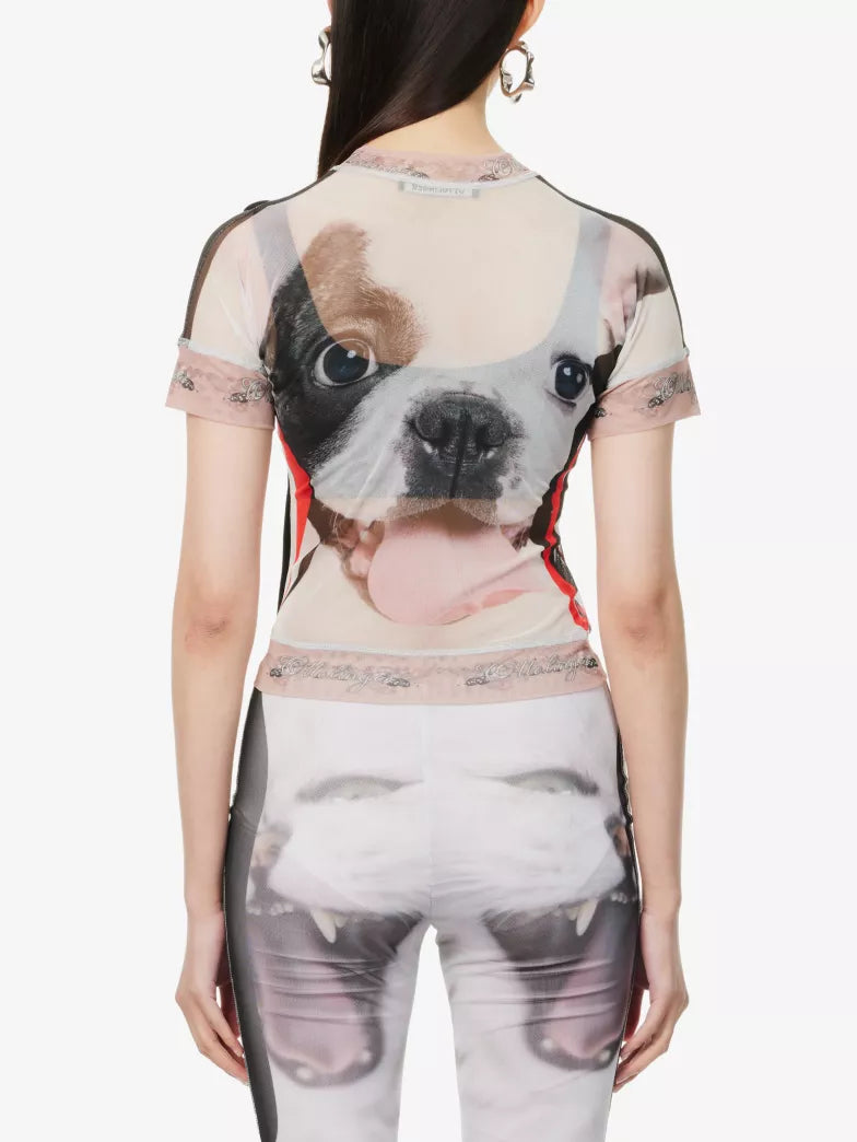 Cat Print Mesh T Shirt