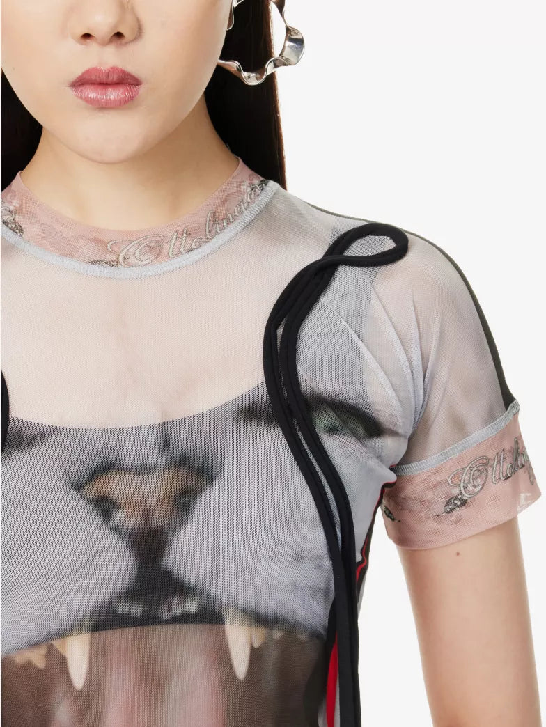 Cat Print Mesh T Shirt