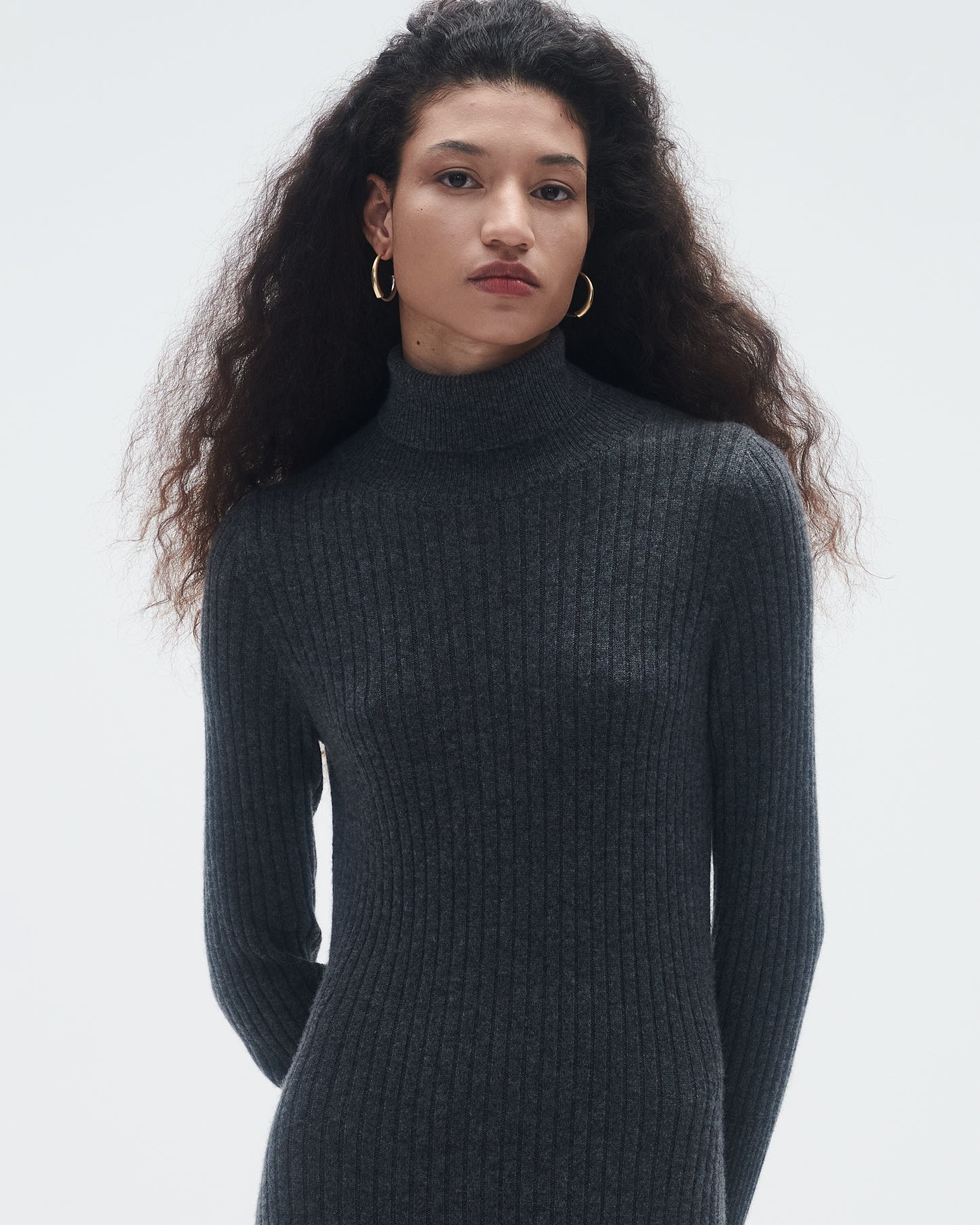 Wide Rib Turtleneck Dress